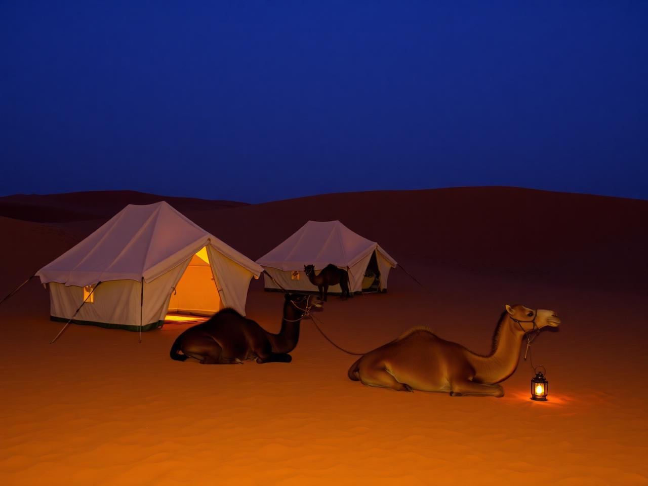 Camping in the Desert